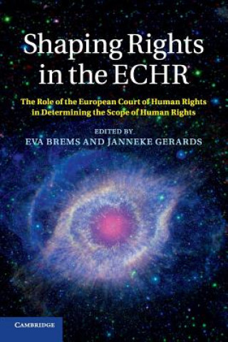 Könyv Shaping Rights in the ECHR Eva Brems