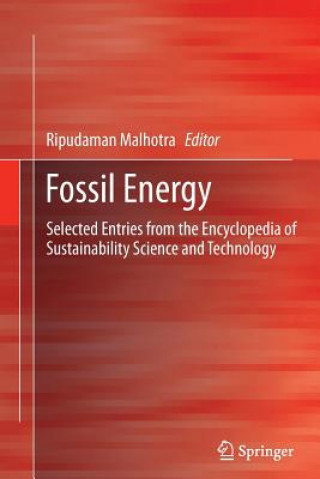 Kniha Fossil Energy Ripudaman Malhotra