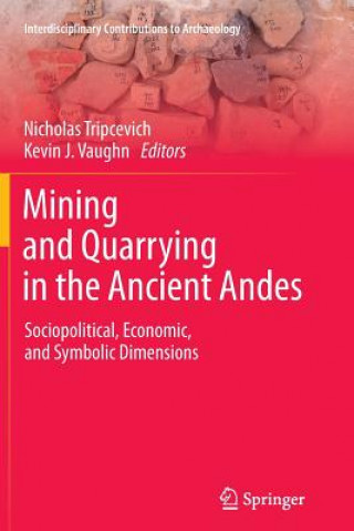 Könyv Mining and Quarrying in the Ancient Andes Nicholas Tripcevich