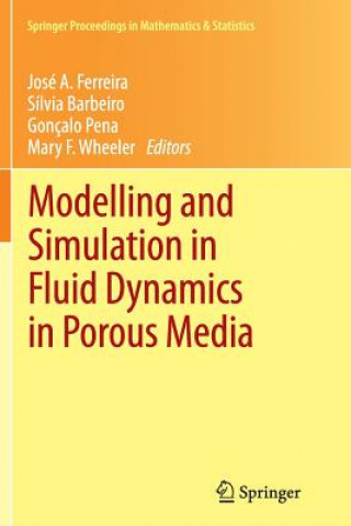 Könyv Modelling and Simulation in Fluid Dynamics in Porous Media Sílvia Barbeiro