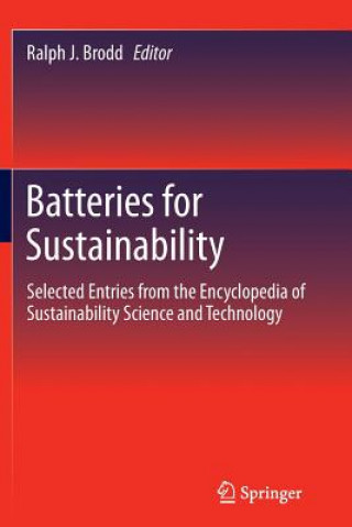 Kniha Batteries for Sustainability Ralph J. Brodd