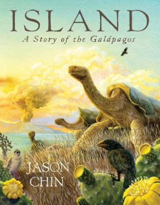 Kniha Island Jason Chin