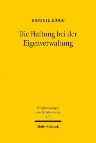 Kniha Die Haftung bei der Eigenverwaltung Dominik König