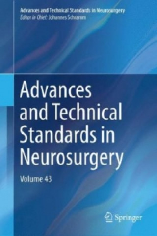Kniha Advances and Technical Standards in Neurosurgery Johannes Schramm