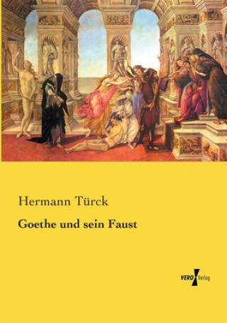 Könyv Goethe und sein Faust Hermann Türck