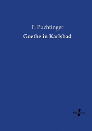 Könyv Goethe in Karlsbad F Puchtinger