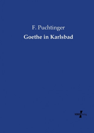 Livre Goethe in Karlsbad F Puchtinger