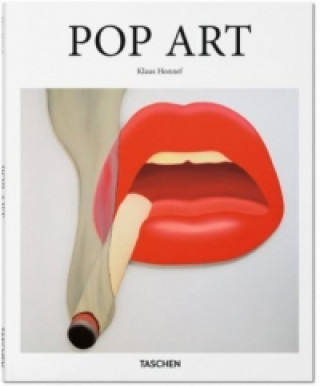 Buch Pop Art Klaus Honnef