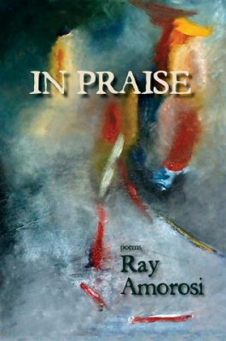 Libro In Praise Ray Amorosi