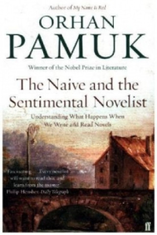 Buch Naive and the Sentimental Novelist Orhan Pamuk