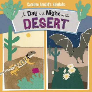 Könyv Day and Night in the Desert Caroline Arnold