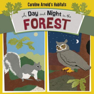 Carte Day and Night in the Forest Caroline Arnold