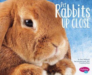 Könyv Pet Rabbits Up Close Jeni Wittrock
