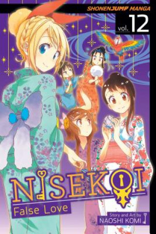 Könyv Nisekoi: False Love, Vol. 12 Naoshi Komi