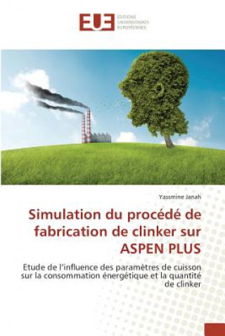 Knjiga Simulation Du Procede de Fabrication de Clinker Sur Aspen Plus Janah-Y