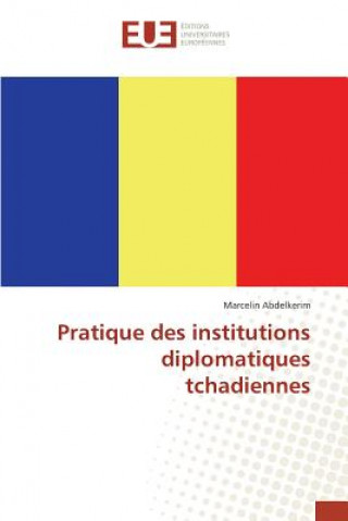 Könyv Pratique Des Institutions Diplomatiques Tchadiennes Abdelkerim-M