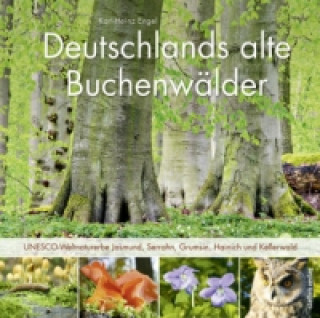 Carte Deutschlands alte Buchenwälder Karl Heinz Engel