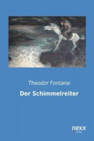 Kniha Der Schimmelreiter Theodor Storm