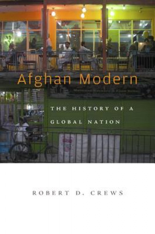 Libro Afghan Modern Robert Crews