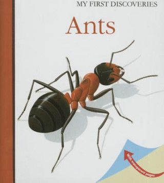 Book Ants Moonlight Publishing