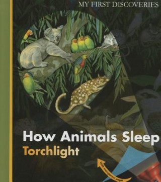 Książka How Animals Sleep Moonlight Publishing