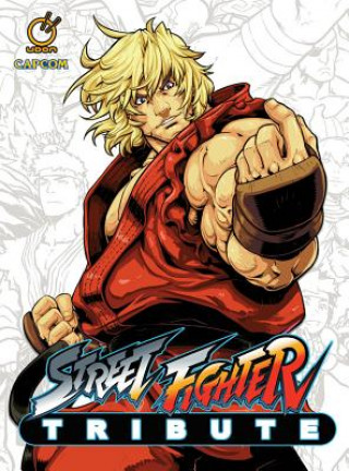 Könyv Street Fighter Tribute Stanley Lau