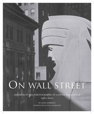 Buch On Wall Street David Anderson