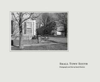 Kniha Small Town South David Wharton
