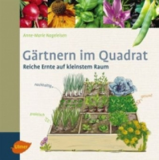 Könyv Gärtnern im Quadrat Anne-Marie Nageleisen