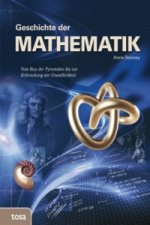Könyv Geschichte der Mathematik Anne Rooney