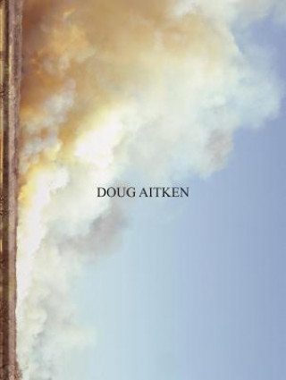 Kniha Doug Aitken Martin Herbert