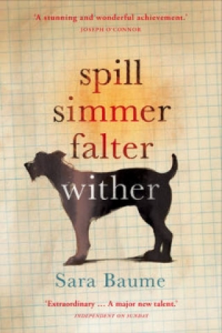 Könyv Spill Simmer Falter Wither Sara Baume