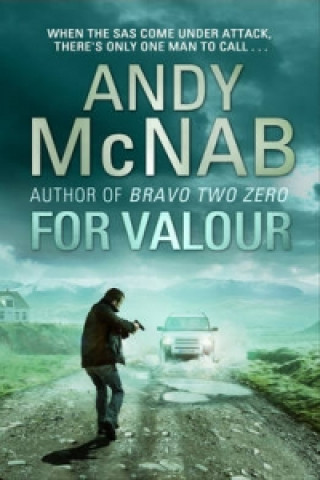 Kniha For Valour Andy McNab