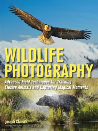 Kniha Wildlife Photography Joe Classen