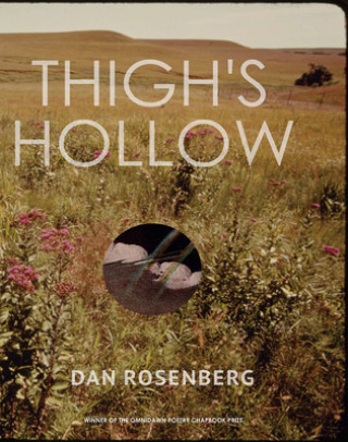 Kniha Thigh`s Hollow Dan Rosenberg