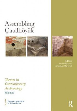 Livre Assembling Catalhoeyuk Ian Hodder