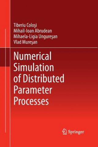 Kniha Numerical Simulation of Distributed Parameter Processes Tiberiu Colosi