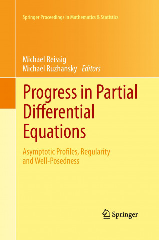 Kniha Progress in Partial Differential Equations Michael Reissig