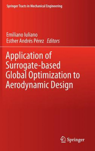 Książka Application of Surrogate-based Global Optimization to Aerodynamic Design Emiliano Iuliano