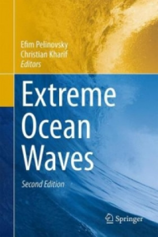 Boek Extreme Ocean Waves Efim Pelinovsky