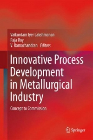 Книга Innovative Process Development in Metallurgical Industry Vaikuntam Iyer Lakshmanan