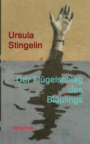 Kniha Flugelschlag des Blaulings Ursula Stingelin