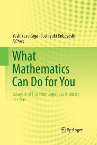 Książka What Mathematics Can Do for You Yoshikazu Giga