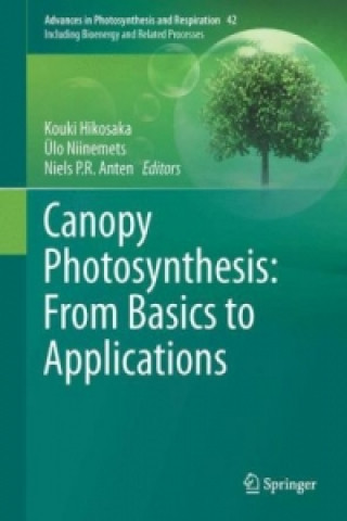 Kniha Canopy Photosynthesis: From Basics to Applications Kouki Hikosaka