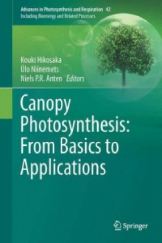 Książka Canopy Photosynthesis: From Basics to Applications Kouki Hikosaka