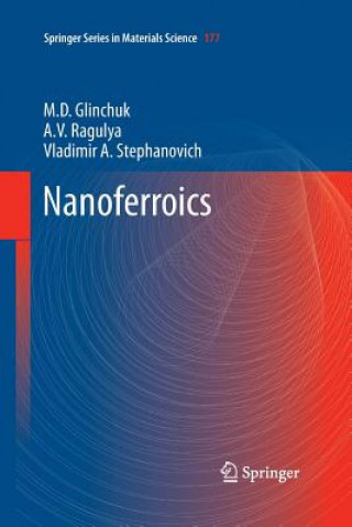 Könyv Nanoferroics M. D. Glinchuk
