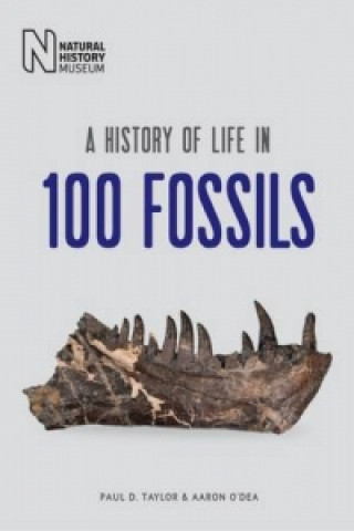 Книга History of Life in 100 Fossils Paul D Taylor