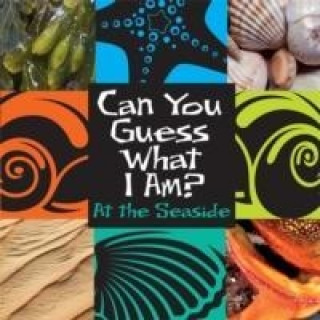 Книга Can You Guess What I Am?: At the Seaside J. P. Percy