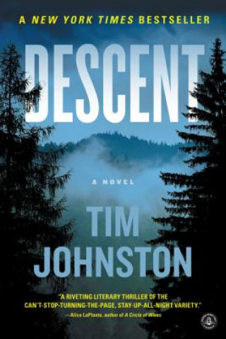 Kniha Descent Tim Johnston