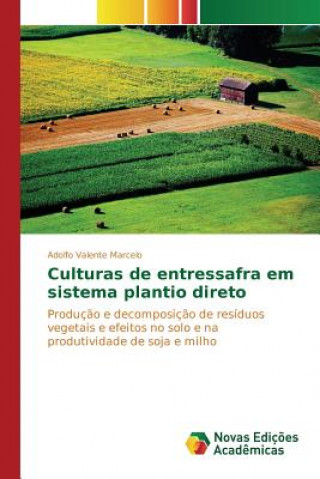 Buch Culturas de entressafra em sistema plantio direto Marcelo Adolfo Valente